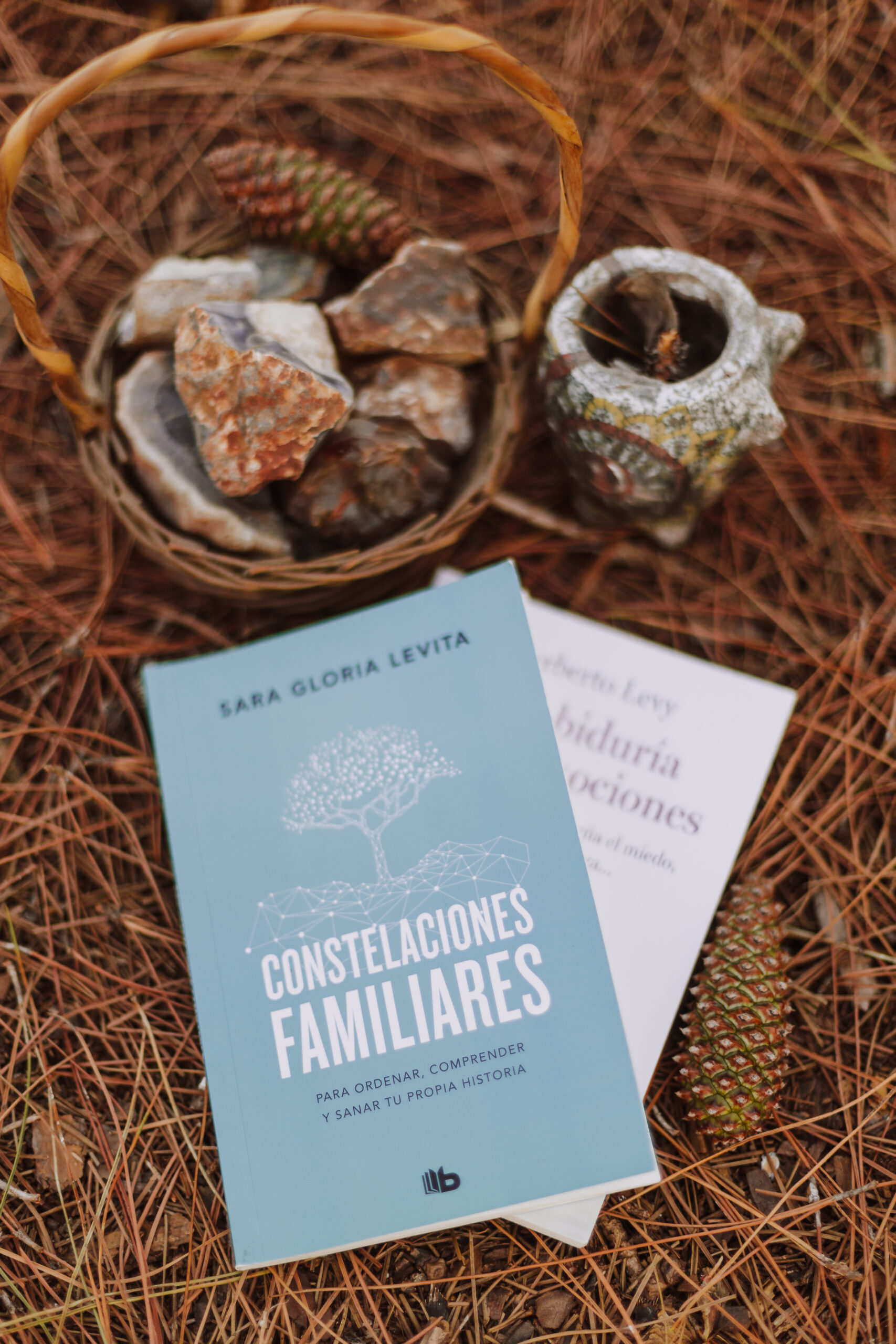 CONSTELACIONES FAMILIARES